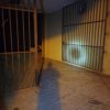 dia 9 de Dezembro de 2021 1.42